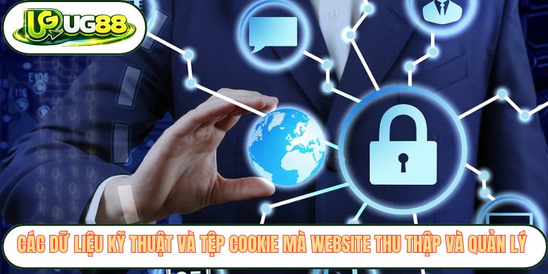 Các dữ liệu kỹ thuật và tệp cookie mà website thu thập và quản lý 