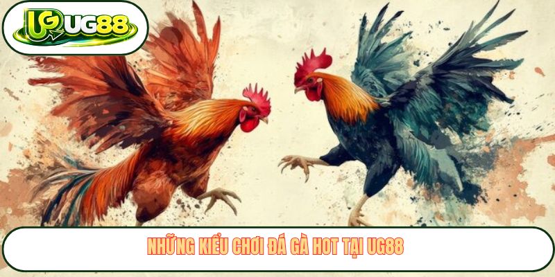 Những kiểu chơi đá gà hot tại UG88 