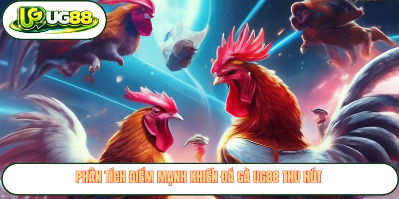 Phân tích điểm mạnh khiến đá gà UG88 thu hút 