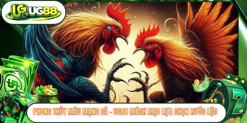 Phong Thủy Màu Mạng Gà - UG88 Mách Mẹo Lựa Chọn Rước Lộc 
